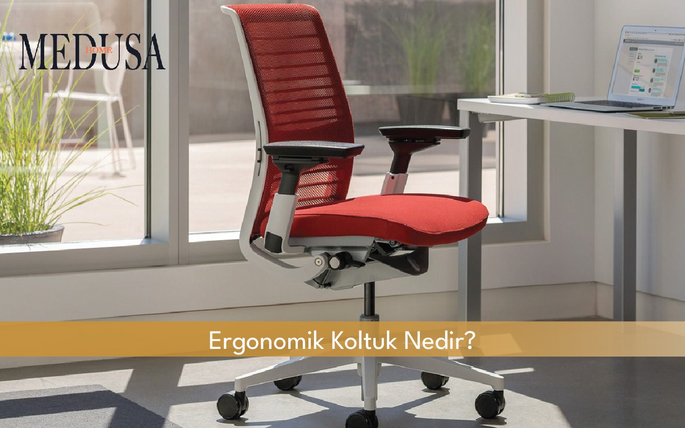 Ergonomik Koltuk Nedir?