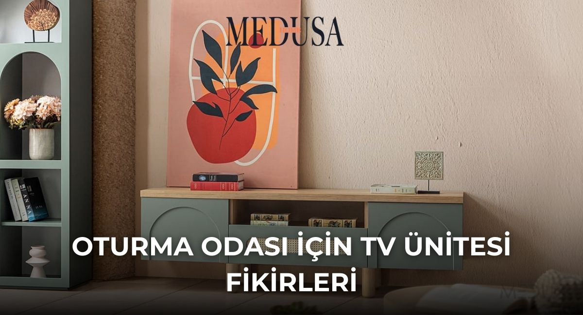 Oturma Odası İçin TV Ünitesi Fikirleri